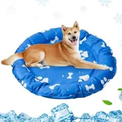ペット ひんやりマット 犬猫用【業界初の二重ふちどり構造 70×70CM】のサムネイル