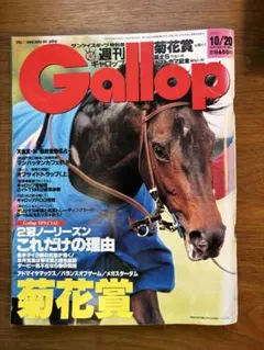 臨時増刊号 Gallop'99 / JRA重賞年鑑 週刊ギャロップ 競馬 - メルカリ