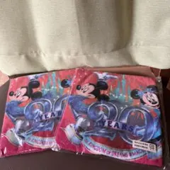 東京ディズニーランド20周年記念ウォッシュタオル2枚セット