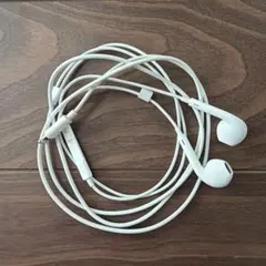 Apple 純正　EarPods Lightning端子