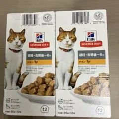 Item thumbnail for item 4e46c749-9a4c-4a20-8c87-eca5e8378925