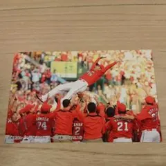 プロ野球チップス 2018 広島東洋カープ 優勝