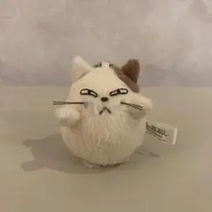 2026年最新】猫の恩返し ムタの人気アイテム - メルカリ