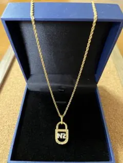 Item thumbnail for item 6a1a1bcb-f697-4f65-987b-9c354ac76aec