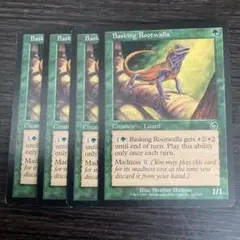 MTG Basking Rootwalla 4枚 日を浴びるルートワラ 英語 - メルカリ