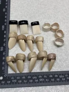 Item thumbnail for item 768011b0-24a7-4fbb-8788-8e1bcfc70cf0