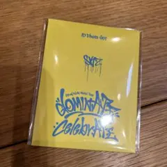 StrayKids dominATE celebrATE IDフォトセット