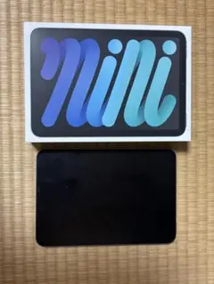 iPad mini (A17 Pro) 128GB スペースグレー周辺アクセ付属