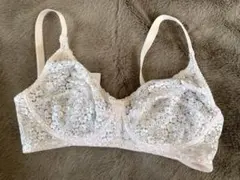 Item thumbnail for item 9f8dec77-b895-4edf-9d7a-6f11786c695a