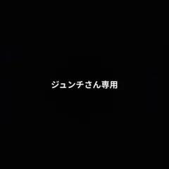 こちらはジュンチさん専用となります。