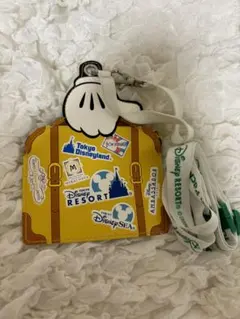 ディズニー ミッキー パスケース バケーションパッケージ限定品