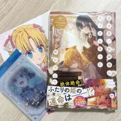 （特典2種付き） ある日、お姫様になってしまった件について