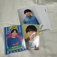 田所蒼大 プロフィールカード 公式写真 - メルカリ