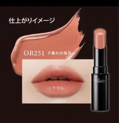 visee ヴィセ　ネンマクフェイクルージュ　OR251 夕暮れの海月