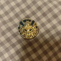 ポケモンカードゲーム　サンダース　151コイン