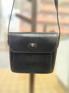 Item thumbnail for item 08a179a3-af09-41e5-9566-bff00fa1e04a