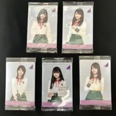 阪口珠美 サイン入りチケットホルダー 乃木フェス - メルカリ