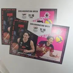 【2枚セット】アルバルク東京テーブス海選手　東京グレートベアーズ深津旭弘選手