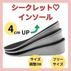 ▲【4cm UP】 シークレットインソール 中敷 身長アップ レディース メンズ