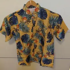 Item thumbnail for item c9842468-2b74-4367-9a8b-a56ea59f6877