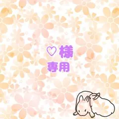 【♡様専用】ブラスタ　メモリアルチェキカード