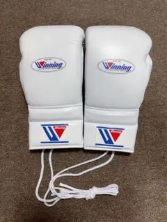 2025年最新】ウイニング グローブ 14 オンスの人気アイテム