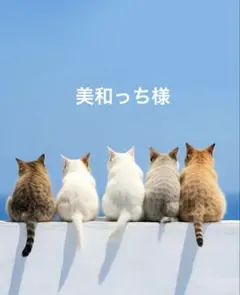 美和っち様ꔛ‬ෆ専用ページ