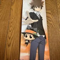 沢田綱吉 カラ鉄 REBORNコラボ 特典 ABOX ツナ リボーン - メルカリ
