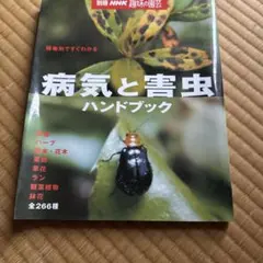 Item thumbnail for item fc47a259-5c00-42e7-a611-49598a4902ee