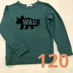 WASK☆トレーナー、120、⑤