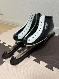 Item thumbnail for item 48303db2-158d-4b12-83e2-3fd1e1e5532b