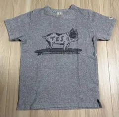 TES The Endless Summer パイル地 Tシャツ グレーのサムネイル