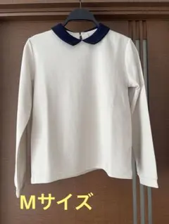 Item thumbnail for item 54d02789-9a95-43b1-87c4-ccf9dddffced