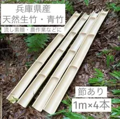 【クロエ様】流しそうめん 生竹 天然 脚なし 7m 2025年最新】流しそうめん 竹の人気アイテム - メルカリ