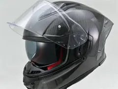 デイトナ DN011RC グロスブラック　カーボンフルフェイスのサムネイル