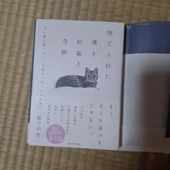 「新品未使用」捨てられた僕と母猫と奇跡
