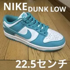 Nike Women's Dunk Low Next Nature 22.5㌢