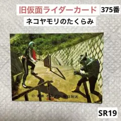 Item thumbnail for item 39b5d3d5-45e7-4a10-b3fa-a94d659d5701