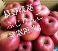 長野県産ふじりんご(家庭用)