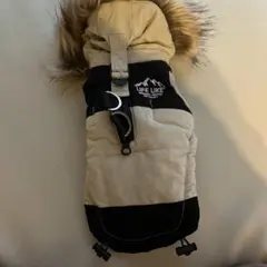 Item thumbnail for item e1e3569c-2d2d-4983-9fd8-65b175b7dca0