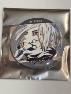 送料込み/氷月/Ani-Art/アニアート/缶バッジ/Dr.STONE/ドクスト