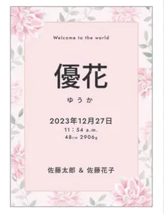 デザインが選べる☆ハンドメイド オーダー命名書 名前入れ