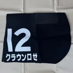 Item thumbnail for item e846b14f-786c-44b0-9c3f-d66969a9e445