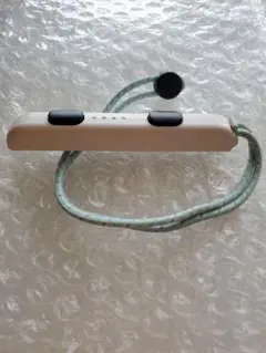 【Switch】【動作良好】あつまれどうぶつの森限定 純正ジョイコンストラップ