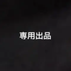 専用出品