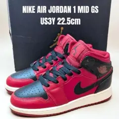 【美品】希少品 Nike GS Air Joradan 22.5センチ 2025年最新】air jordan 1 22．5の人気アイテム - メルカリ