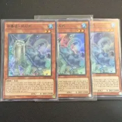 水龍星－ビシキ 3枚セットのサムネイル