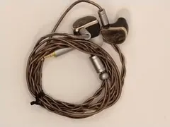 有線イヤホン kiwi ears canta + azlaイヤーチップ - メルカリ