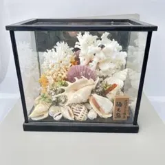 Item thumbnail for item b44d5a58-7bd9-40e1-90a8-42e1cf573f05