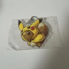 2025年最新】イーブイポンチョのピカチュウの人気アイテム - メルカリ